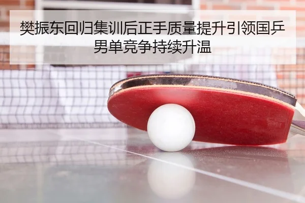 樊振东回归集训后正手质量提升引领国乒男单竞争持续升温 | N8sportsofficial